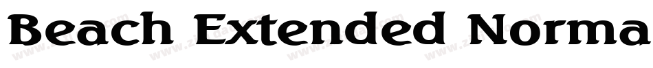 Beach Extended Normal字体转换
